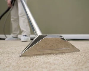 carpet cleaning wand cleaning carpet