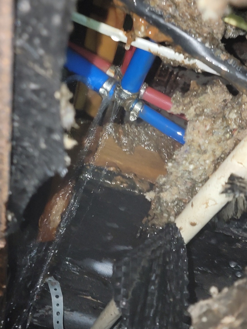 Image of pex pipe with a leak in it under a house