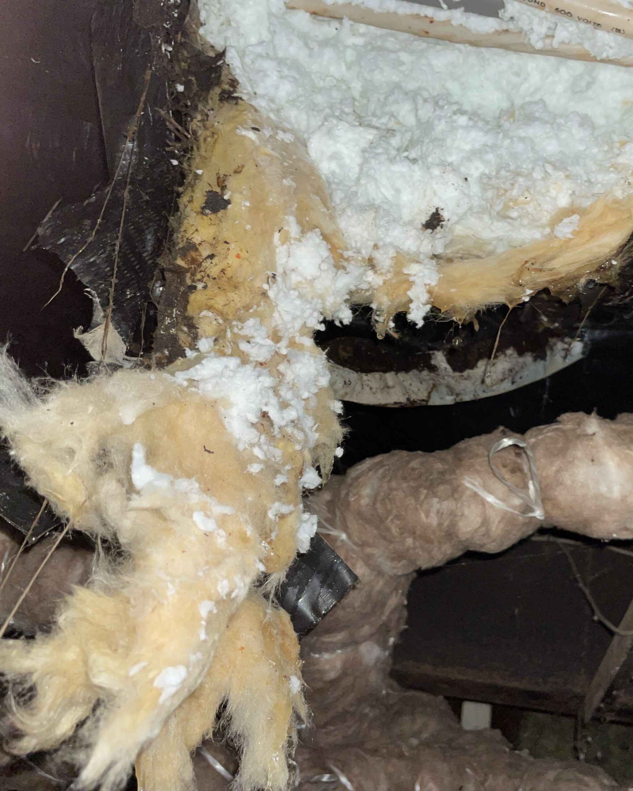 White insulation falling out of the belly paper of a home at 28406 NE 172ND AVE Battle Ground, WA 98604 where a broken supply line failed flooding the home.